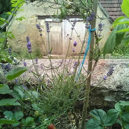 Moulin Barrat * Le Veurdre