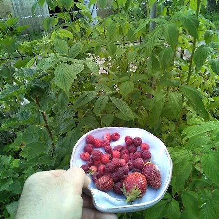 Moulin Barrat Bed & Breakfast Le Veurdre