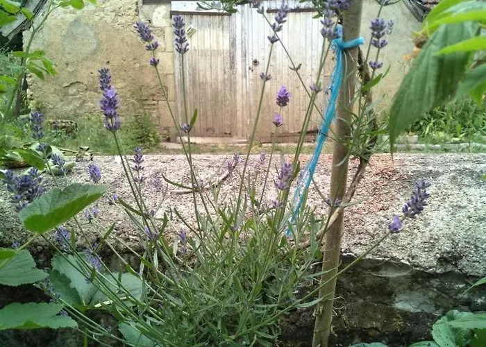 Moulin Barrat * Le Veurdre