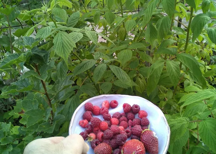 Moulin Barrat Bed & Breakfast Le Veurdre